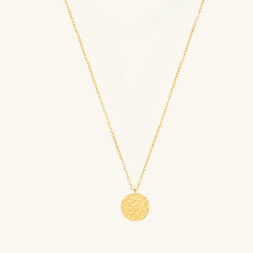 Dainty Disk Necklace